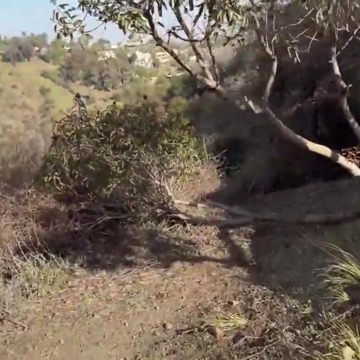 Lillian Phillips Outdoor Bbc Sex Tape Video Leaked